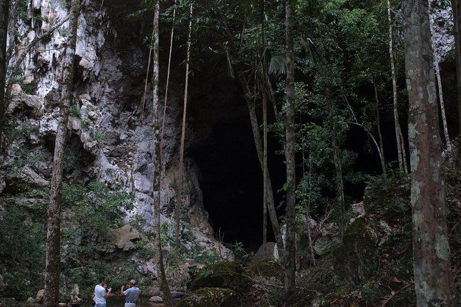 full-day-mountain-pine-ridge-tour-from-san-ignacio-with-lunch