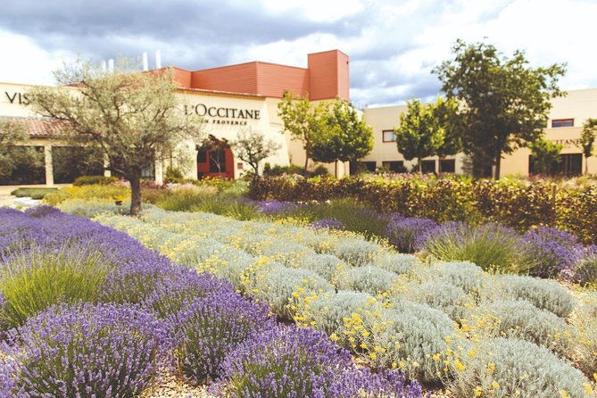 full-day-ocean-of-lavender-in-valensole-from-avignon