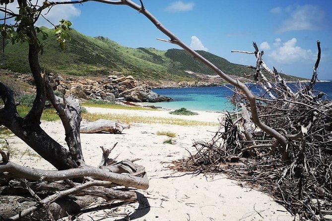 full-day-private-boat-charter-caribbean-adventure