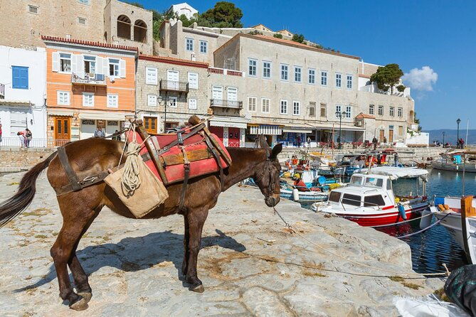 full-day-private-excursion-to-hydra-island-from-athens