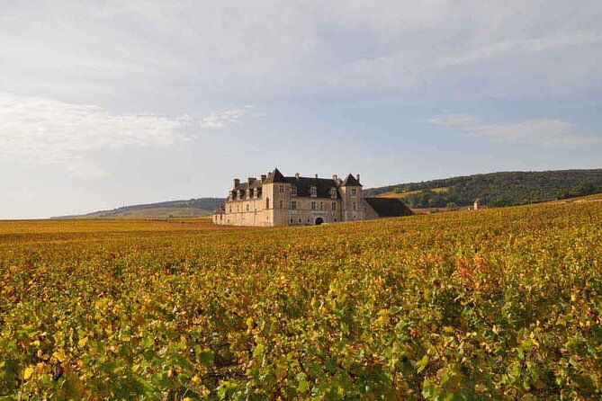 full-day-private-tour-10-premiers-grands-crus-the-best-of-burgundy