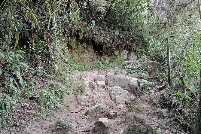 full-day-private-tour-to-la-chorrera-waterfall-and-el-chiflon