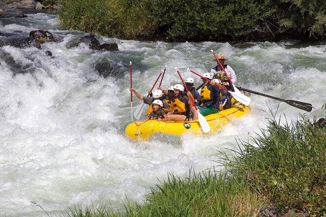 full-day-rogue-river-experience-class-i-iv
