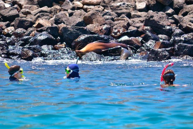 full-day-santa-fe-playa-escondida-snorkeling-tour