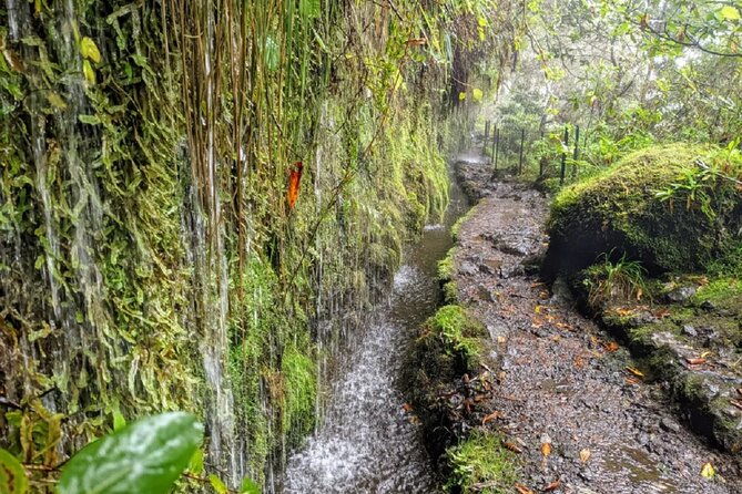 full-day-self-guided-hike-in-caldeirao-verde-levada-2