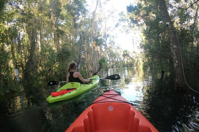 full-day-single-kayak-rental-in-crystal-river
