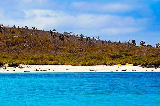 full-day-snorkeling-tour-santa-fe-island-and-playa-escondida