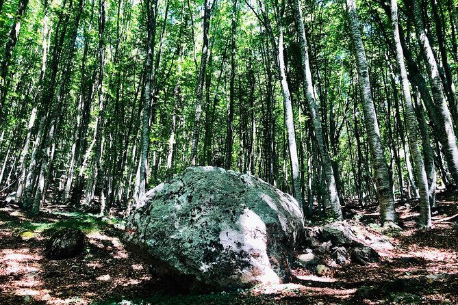 full-day-tirana-city-dajti-national-park-private-tour