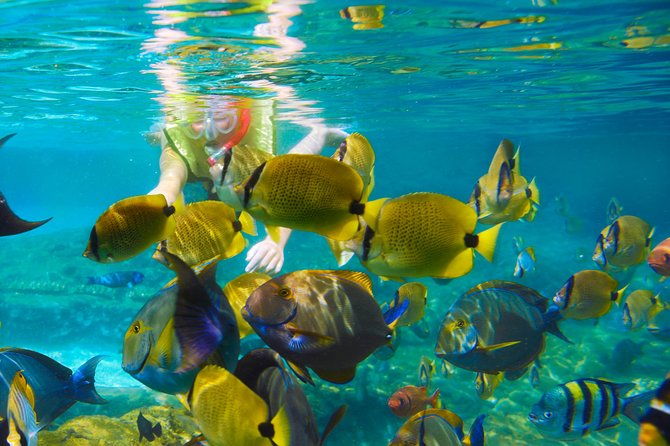 full-day-tour-4x4-atv-water-cave-and-snorkeling-cruise