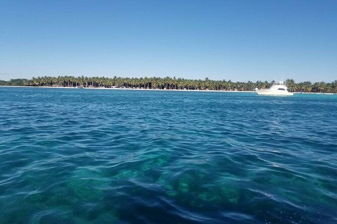full-day-tour-to-saona-island-by-catamaran-and-speedboat
