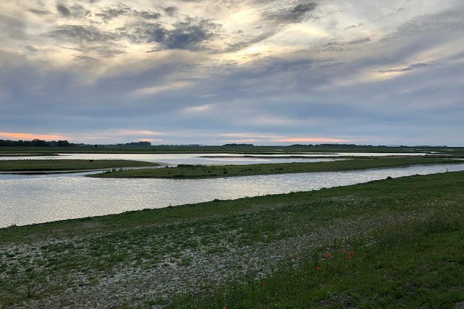 full-day-tour-to-texel-friesian-islands-from-amsterdam-2