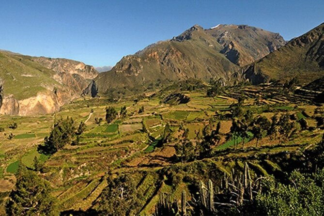 full-day-tour-to-the-colca-canyon