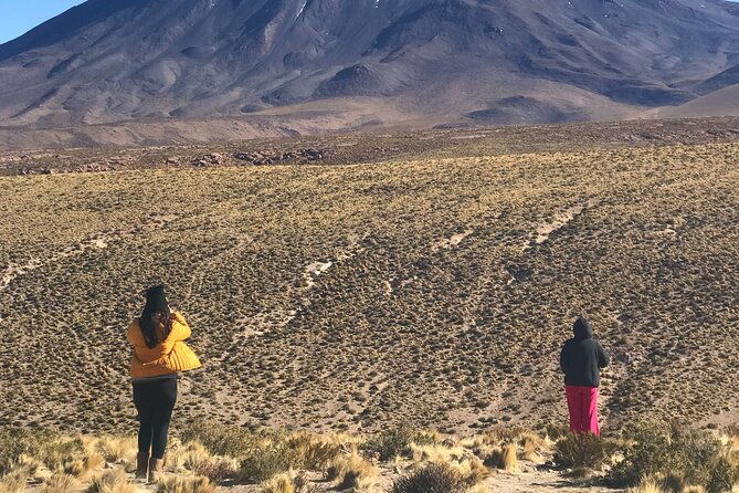 full-day-tour-to-the-salt-flats-route