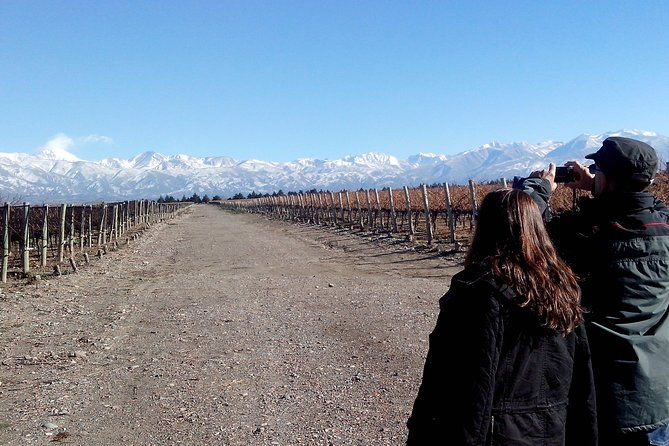 full-day-uco-valley-wine-experience-with-salentein