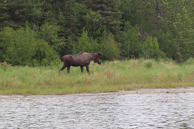 full-day-upper-kenai-river-guided-fishing-trip