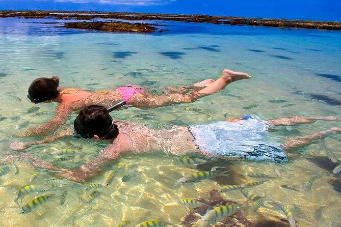 full-day-visit-to-paripueira-beach-and-tide-pools-in-maceio