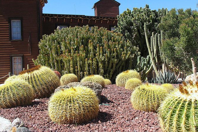 full-day-western-theme-park-tour-of-mini-hollywood-oasys
