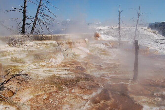 full-day-yellowstone-upper-northern-loop-tour