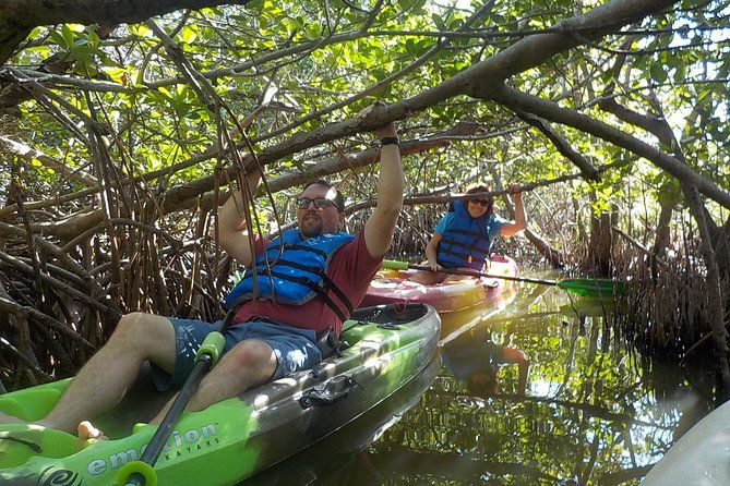 fully-guided-kayaking-backwater-manatee-and-dolphin-tour