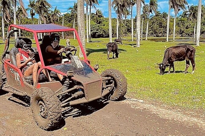 fun-buggys-tour-from-amber-cove-or-taino-bay