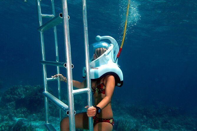 fun-seaquarium-from-punta-cana-free-transportation