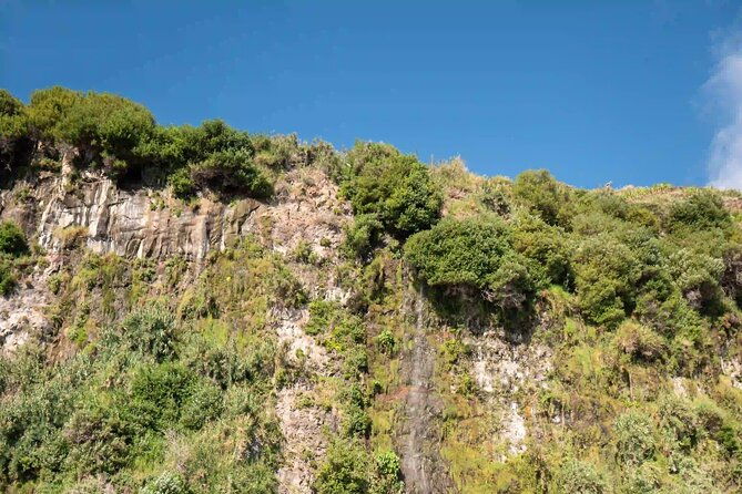 funchal-thrilling-speedboat-tour-see-dolphins-and-whales