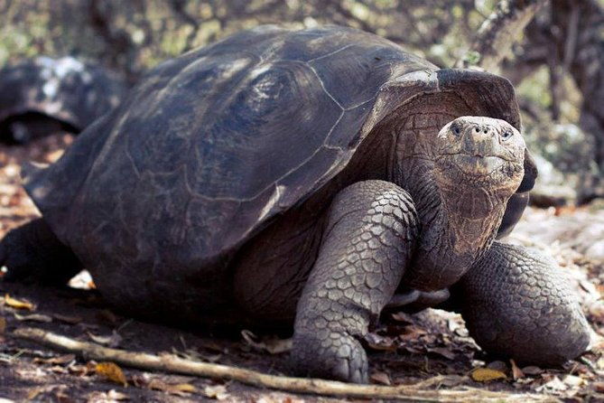 galapagos-enchanting-3-islands-5-days