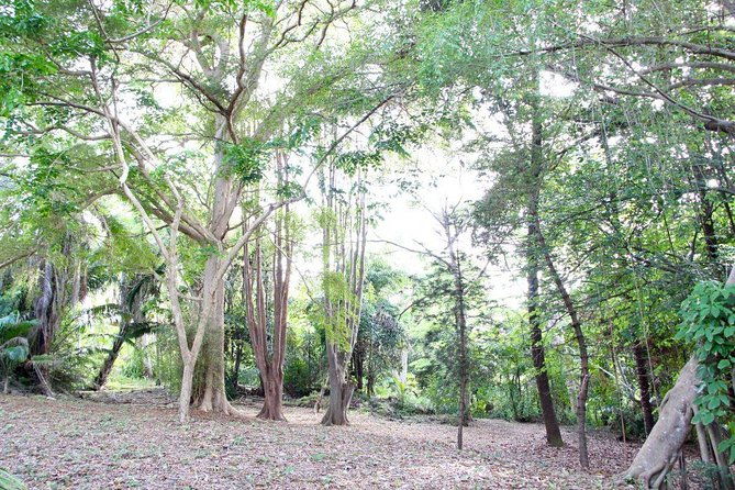 garden-delight-full-day-tour-in-barbados