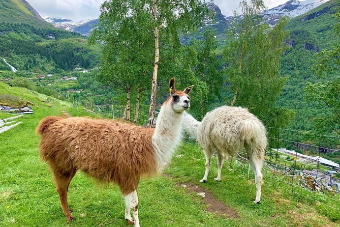 geiranger-by-royal-route-5-hours-with-visiting-a-high-mountain-farm