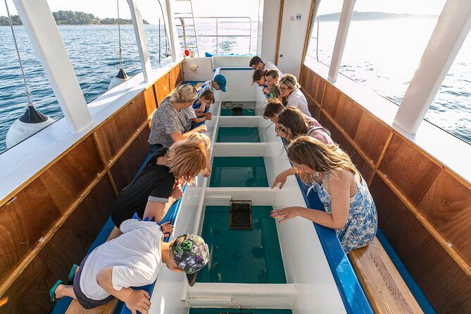 glass-boat-tour-fazana-and-panorama-national-park-brijuni
