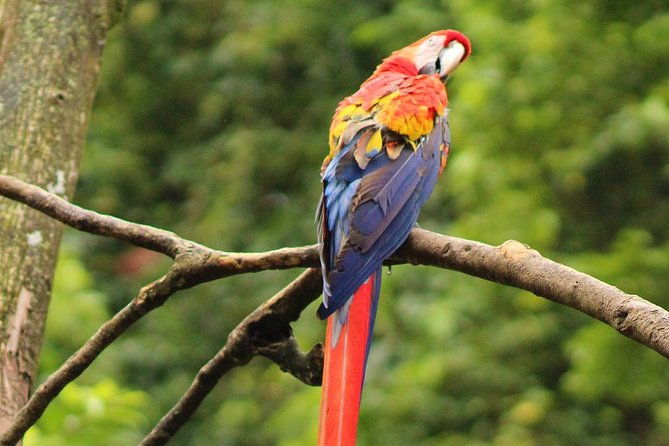 goodmans-tour-to-the-sanctuary-of-rescued-wild-animals