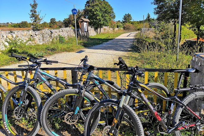 gps-tour-with-e-bike-on-cycleroute-of-acqueduct-pugliese-with-wine-tasting-directly-in-vineyards