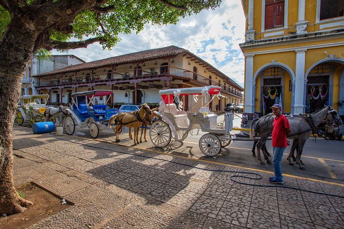 granada-colonial-2-in-1-historic-walk-horse-drawn-carriage