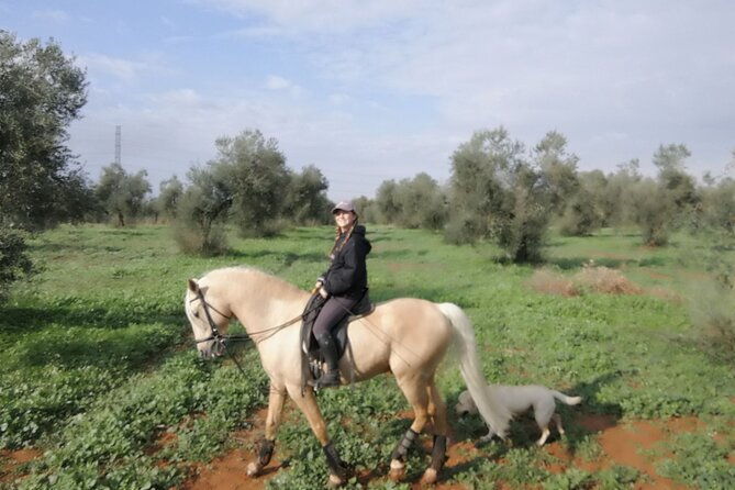 granada-sierra-nevada-horse-riding-tour