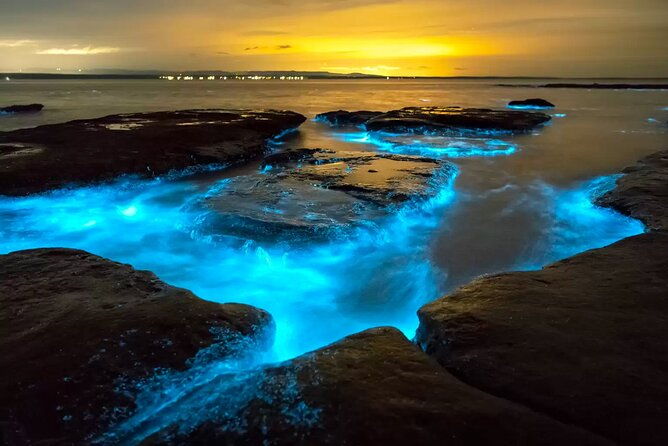 grand-cayman-bioluminescent-bay-adventure