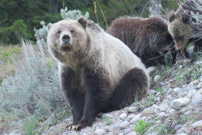 grand-teton-national-park-private-full-day-tour-from-jackson-hole
