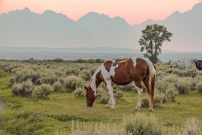 grand-teton-private-sunset-tour