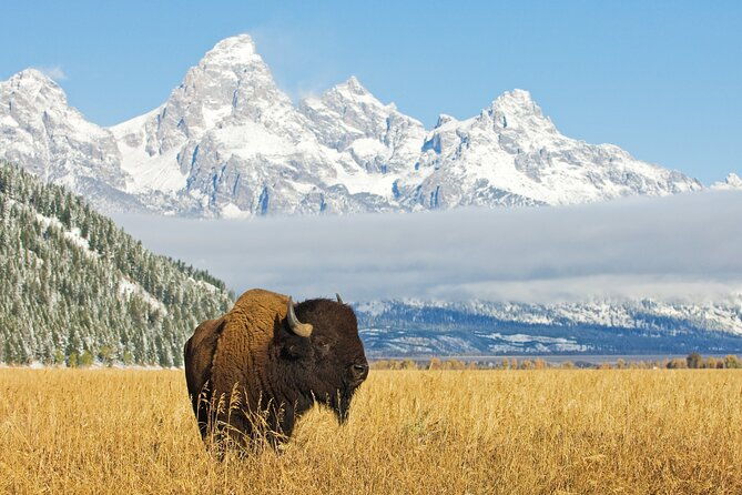 grand-teton-self-guided-driving-audio-tour