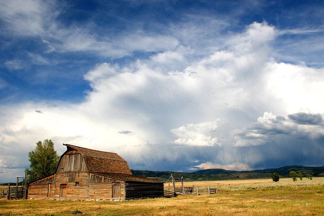 grand-teton-wildlife-safari-tour