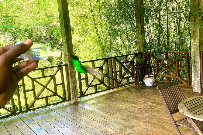 great-river-bamboo-rafting-and-bird-sanctuary-combine-tour-from-montego-bay