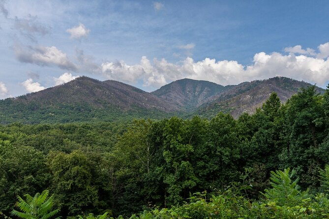 great-smoky-mountains-cades-cove-self-guided-driving-tours