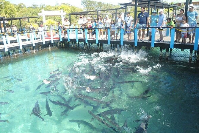 great-tours-rosario-island-blue-beach-cholon-and-white-beach
