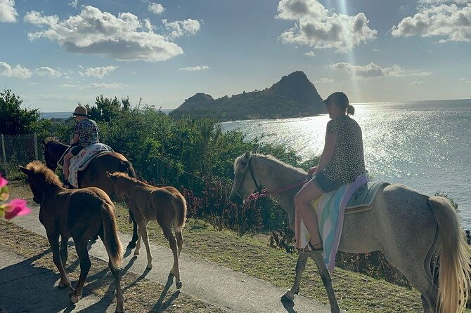 gros-islet-village-horseback-riding-run-with-dores-riding-stable