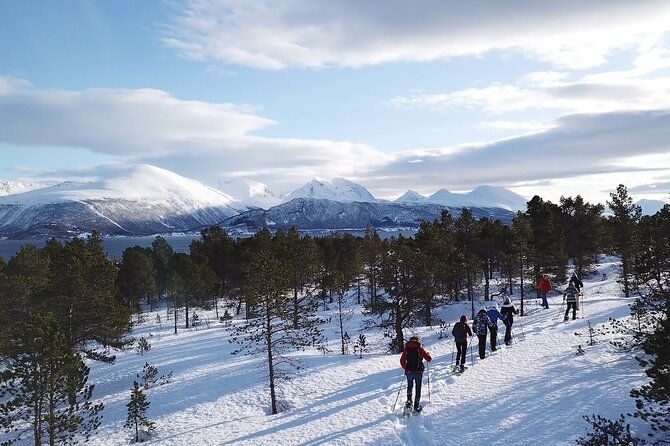 guided-easy-snowshoeing-with-a-visit-to-local-cafe