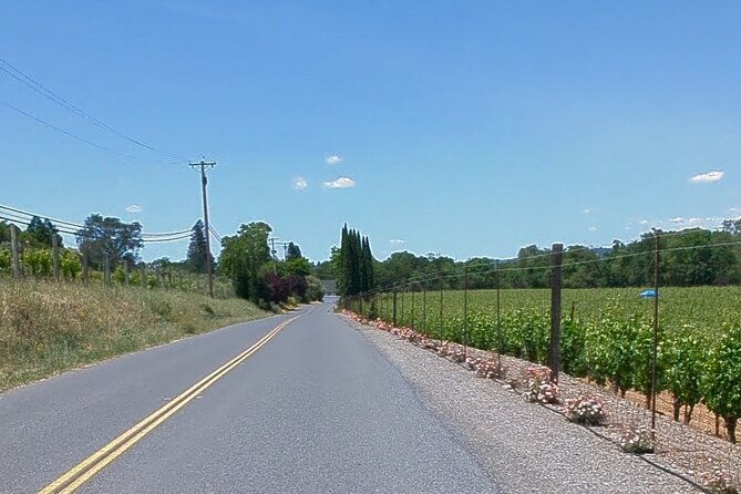 guided-electric-bike-wine-tour-through-sonoma-county