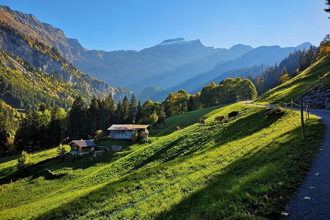 guided-excursion-to-jungfraujoch-grindelwald-and-lauterbrunnen-from-lucerne