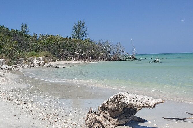 guided-kayak-ecotour-of-beautiful-shell-key-preserve