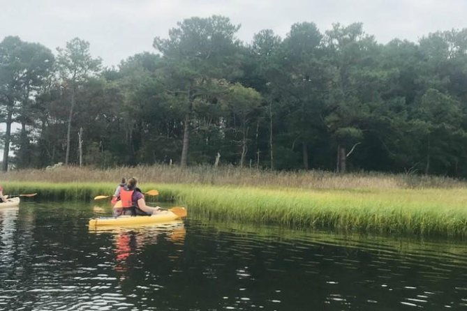guided-kayak-excursion-rehoboth-back-bay