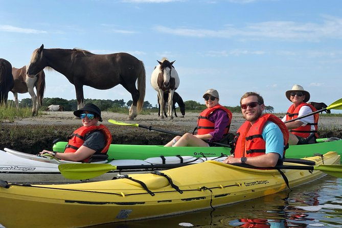 guided-kayak-tour-to-see-ponies-birds-dolphins-and-more