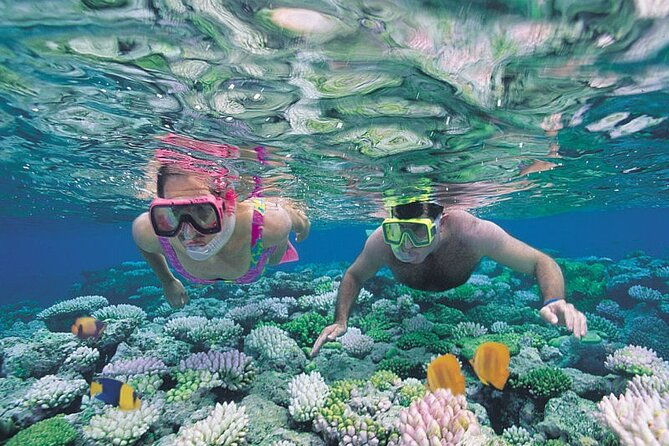 guided-snorkeling-experience-in-caleta-de-fuste